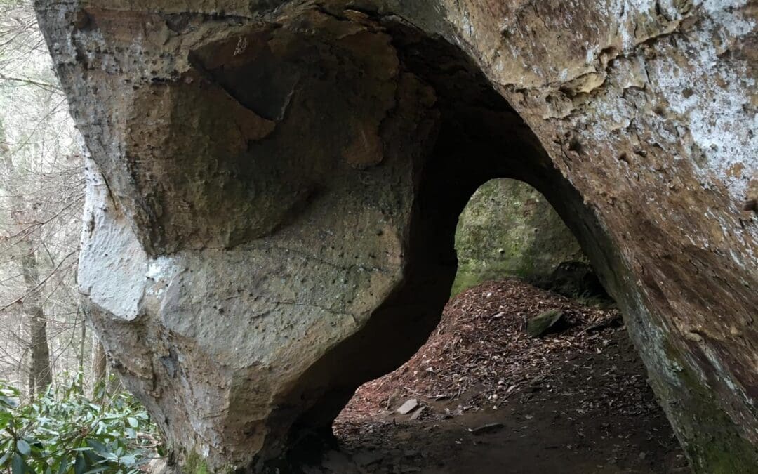 Red River Gorge Experiences