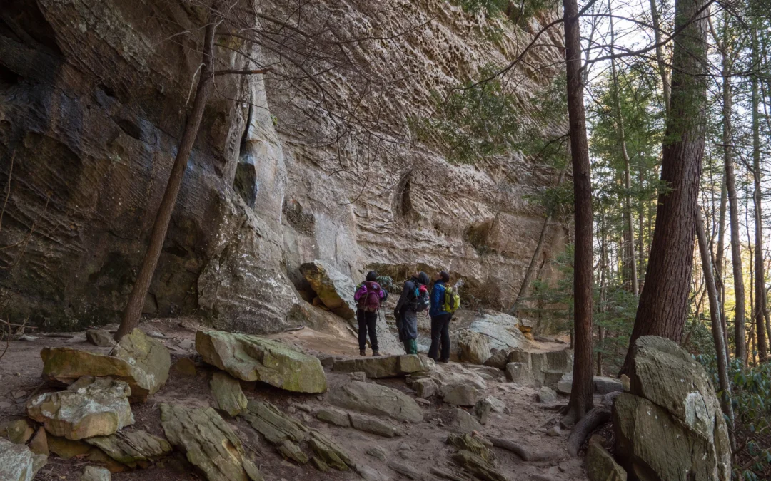 Graining Fork Nature Preserve