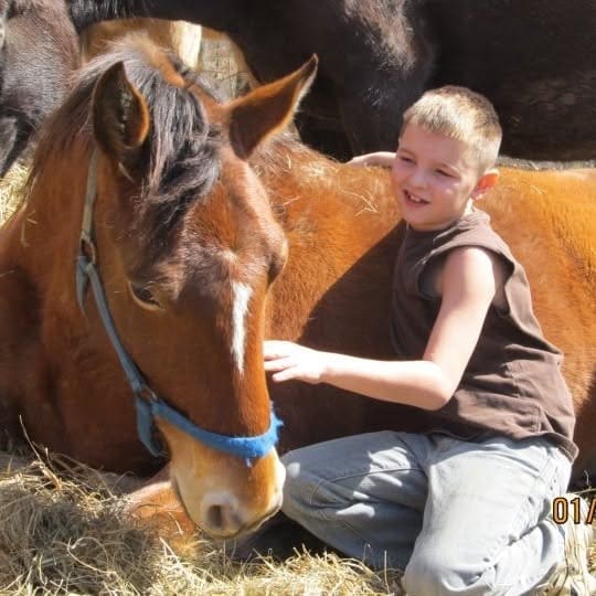 Boy sitting beside a brown horse, stroking its neck in a sunlit yard with a blue halter on the horse.