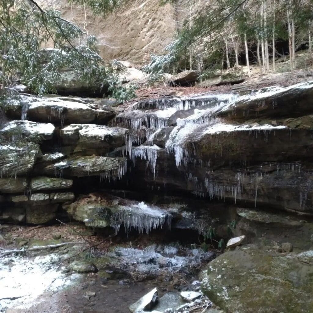 Icicles hang from layered rock ledges above a small cascading creek in a forest, with snow on rocks and evergreen trees surrounding.