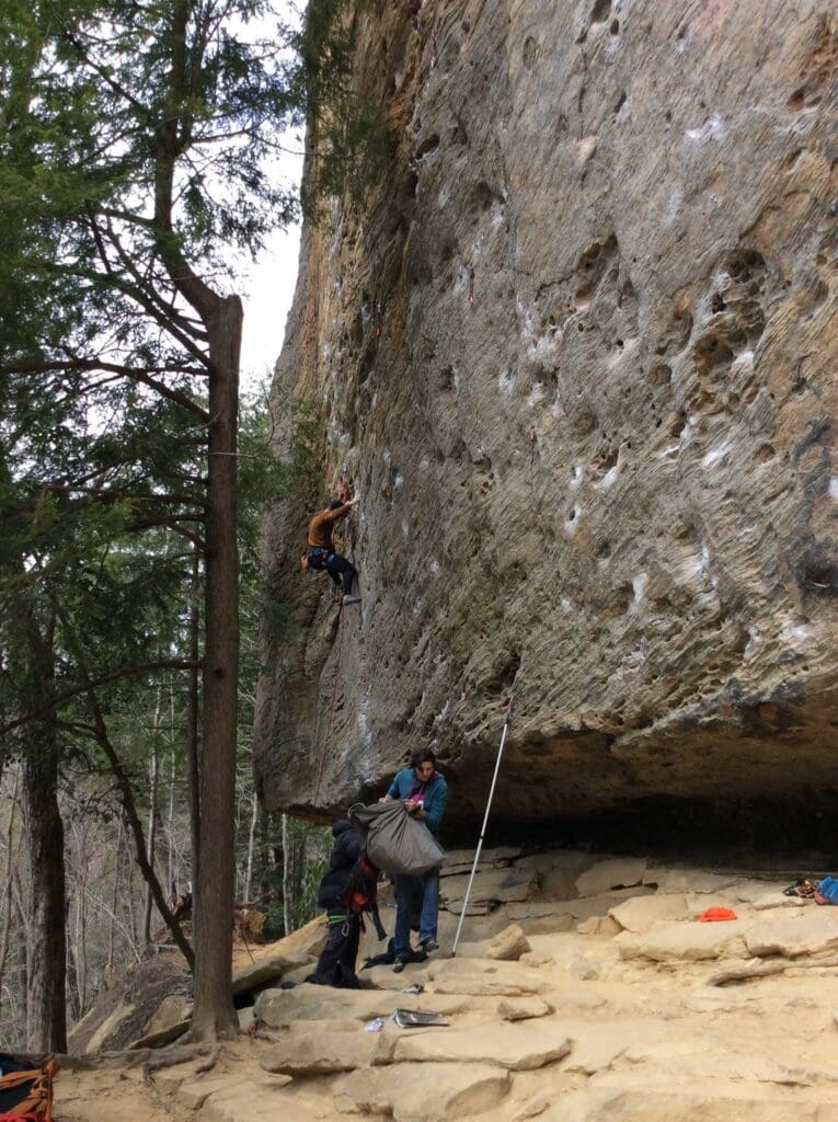 Rock climbers on a rugged cliff face with ropes and chalk, surrounded by trees in a forest setting.