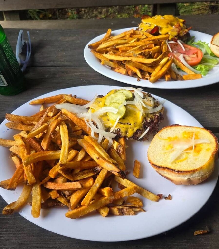 Cheeseburger topped with onions and melted cheese with a large side of french fries on a white plate.